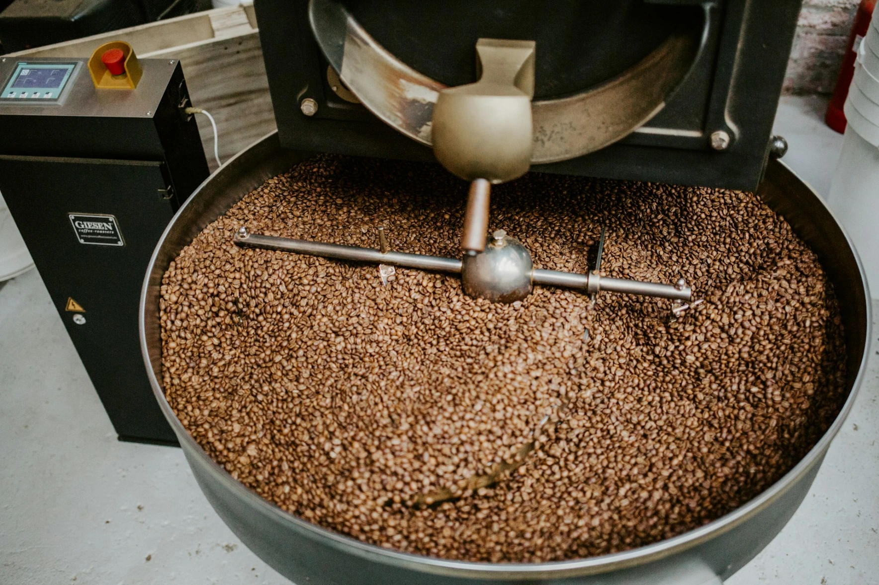 Coffee beans in a Giesen roaster machine