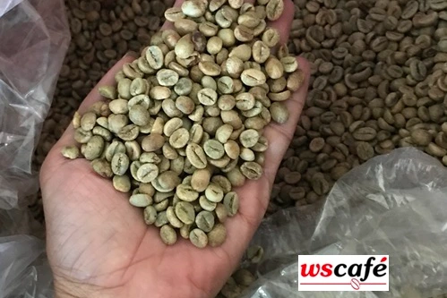 WSCAFE well-selected coffee beans