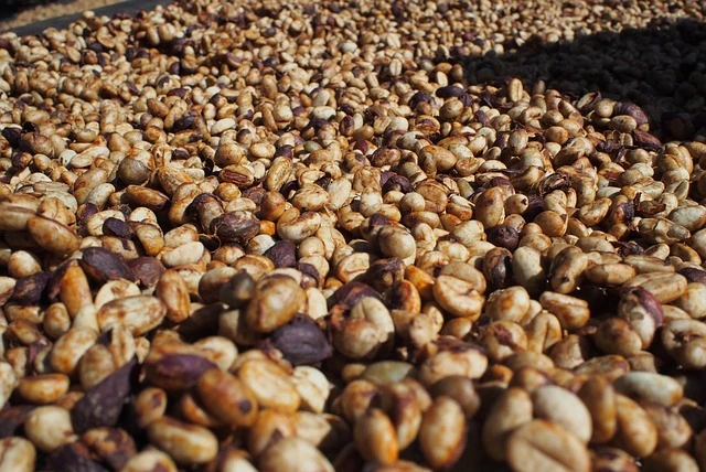 honey-processed arabica coffee