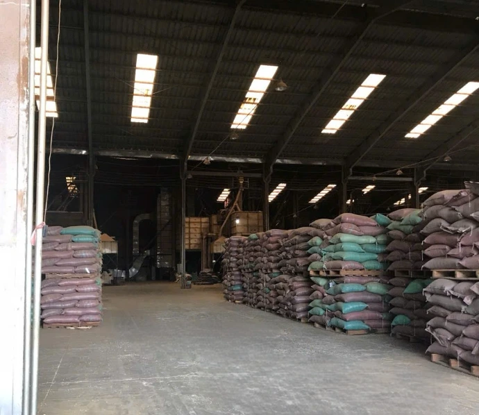 wscafe green arabica coffee factory