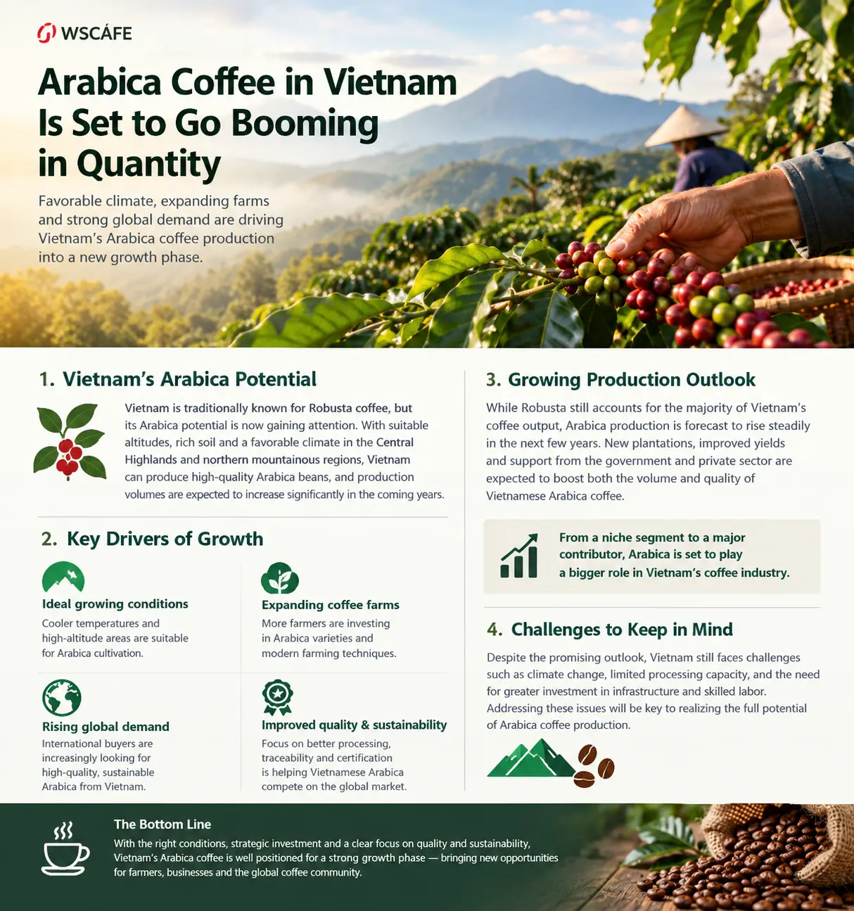 Vietnamese arabica coffee potential by wscafe