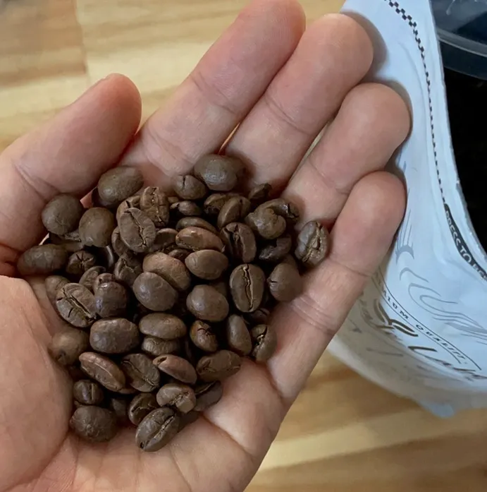 arabica roasted coffee beans in pouch wscafe.webp