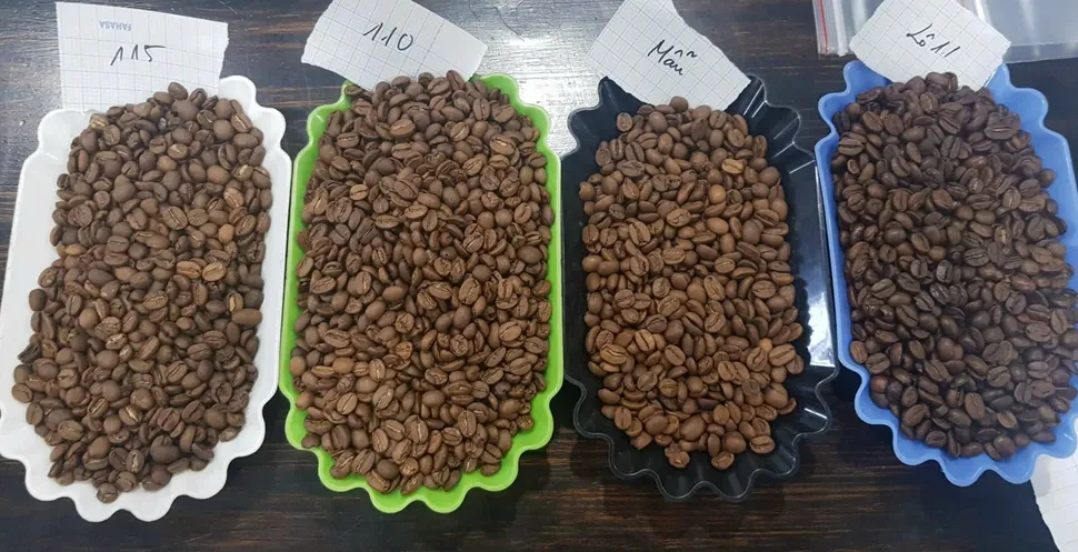 wscafe different lots of roasted arabica coffee.webp