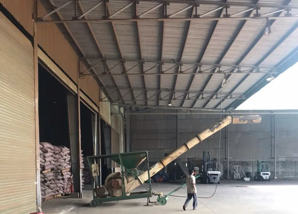 wscafe green coffee factory.webp