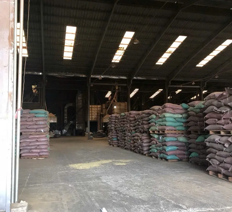 wscafe raw arabica coffee factory.webp