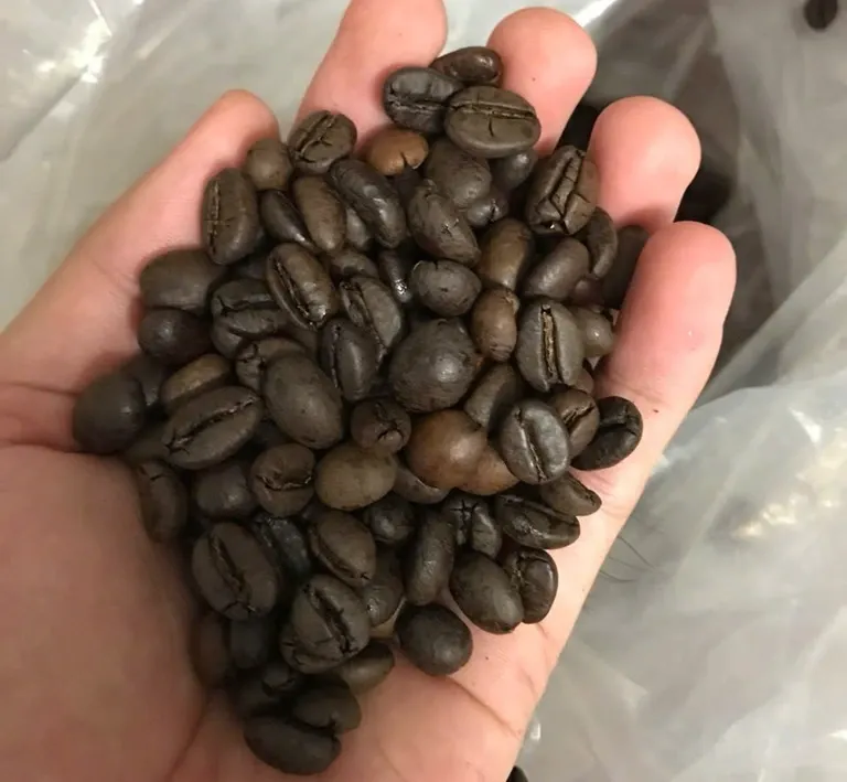 wscafe robusta roasted coffee.webp