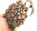 wscafe roasted robusta coffee.webp