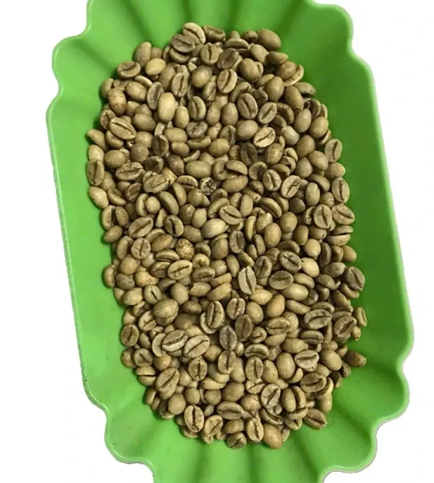 wscafe raw robusta coffee.webp