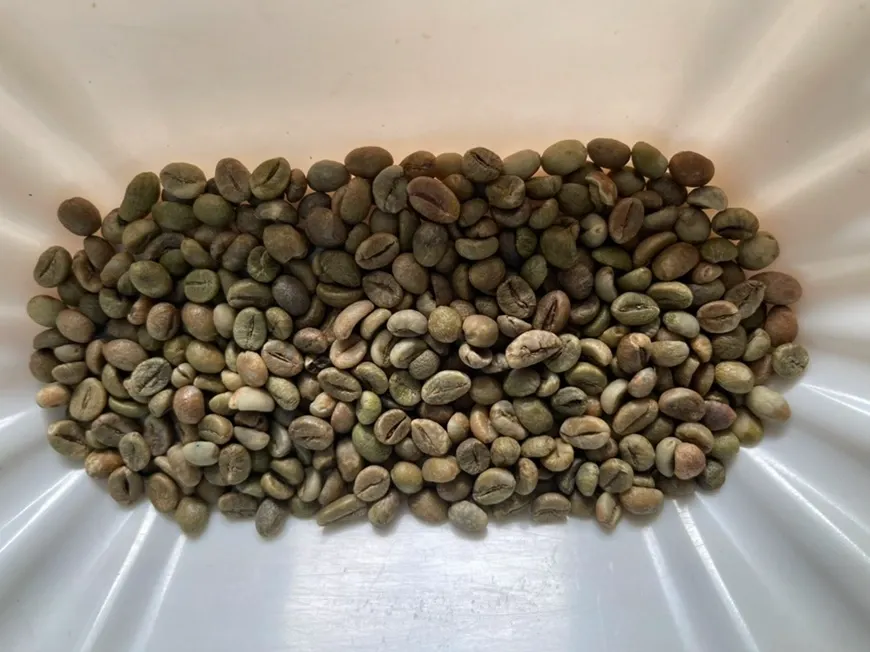 wscafe raw robusta coffee.webp