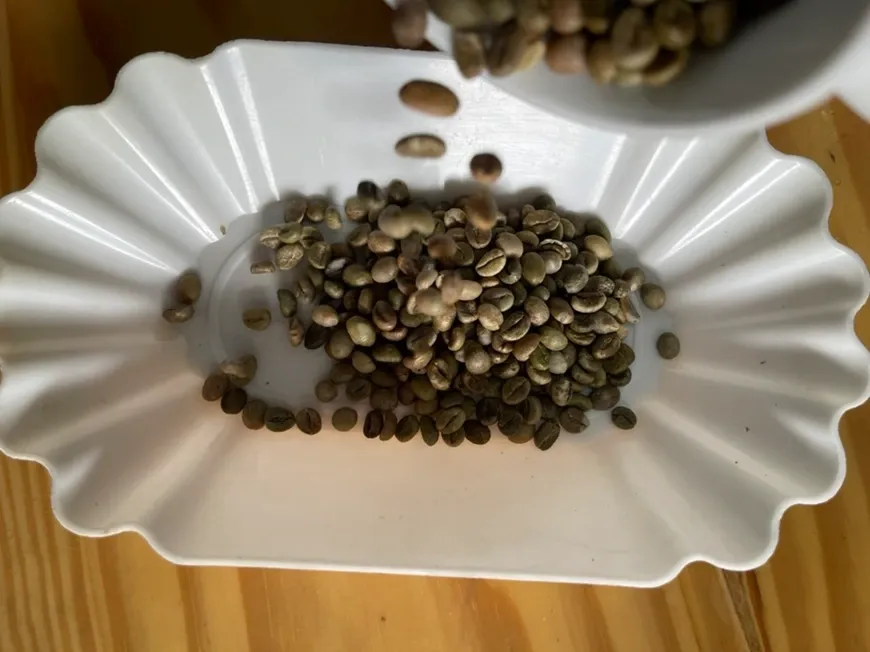 wscafe unroasted robusta coffee.webp