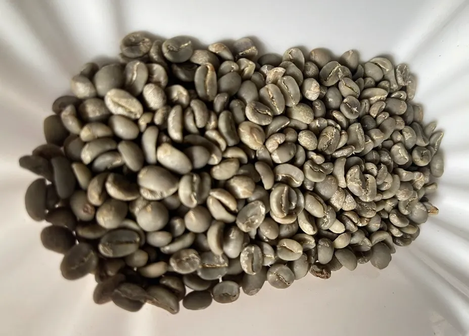 wscafe da lat specialty coffee at a closer look.webp