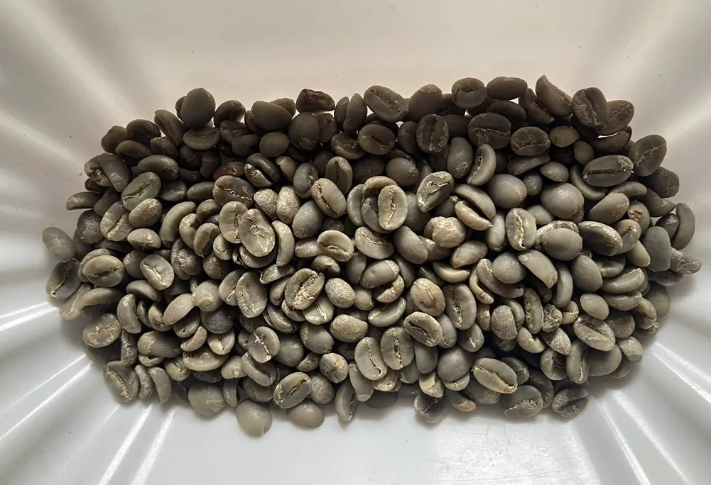 wscafe unroasted arabica da lat.webp