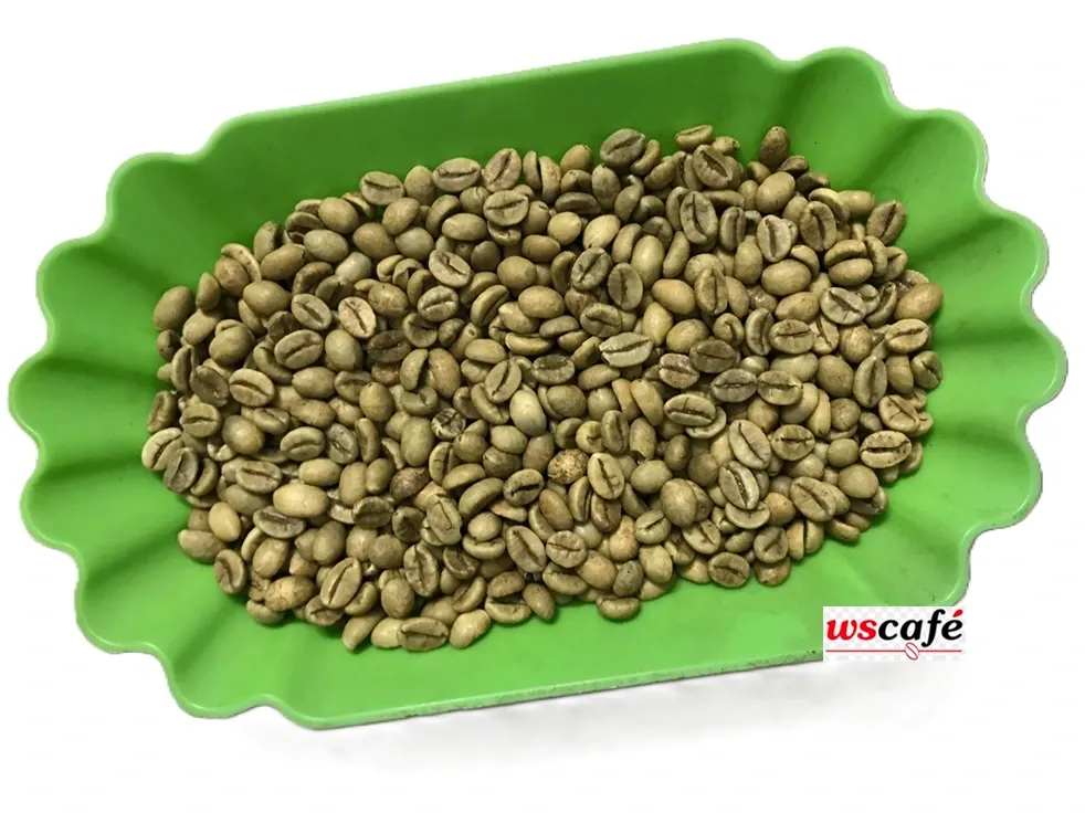 WSCAFE Green Robusta Coffee
