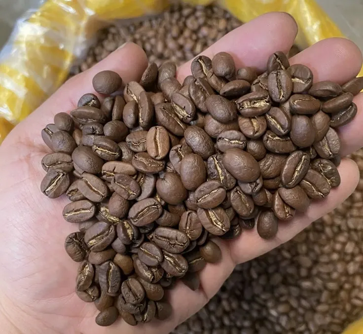 WSCAFE Arabica Roasted Coffee